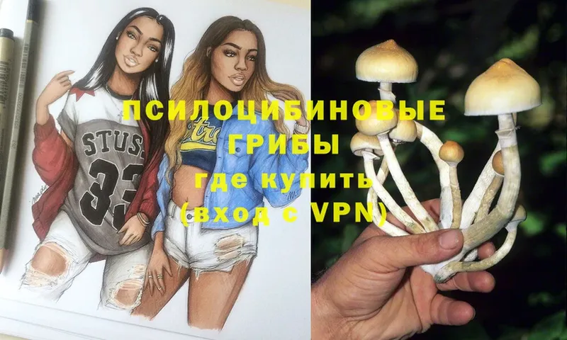 Псилоцибиновые грибы Magic Shrooms  kraken сайт  Никольск 